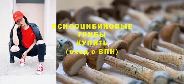 ГАЛЛЮЦИНОГЕННЫЕ ГРИБЫ Покровск